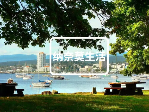 纳奈莫生活,纳奈莫华人,纳奈莫房产,纳奈莫旅游,加拿大纳奈莫