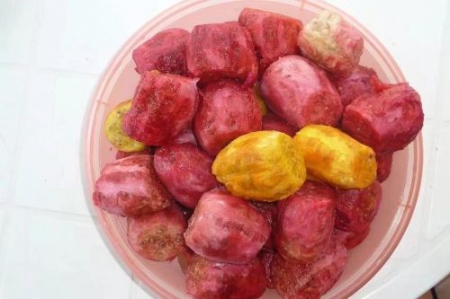 加拿大水果|这些贵上天的水果在这里竟卖白菜价? 19 加拿大水果 - 加拿大水果|这些贵上天的水果在这里竟卖白菜价?