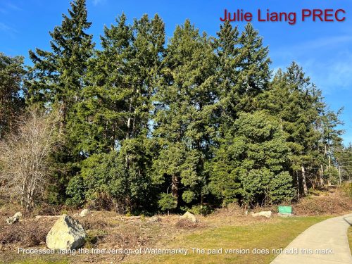 最新上市:北纳奈莫最受欢迎的Linley Point 社区, 稀缺的8块开发用地 2 - 最新上市:北纳奈莫最受欢迎的Linley Point 社区, 稀缺的8块开发用地